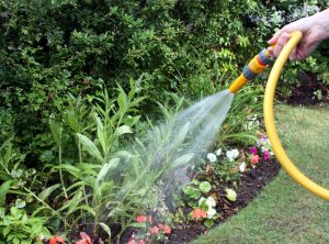 grey-water-garden-watering