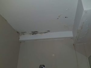 damaged and water leaking from bathroom ceiling