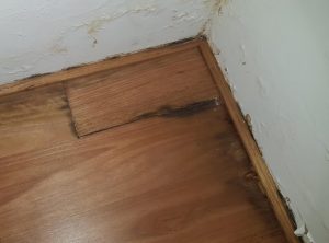 Damaged flooring and wall in the dining room