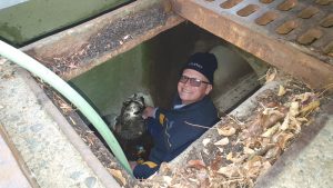 blocked-drainage-investigation
