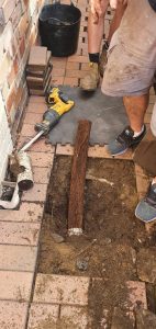 tangled-tree-roots-drainage